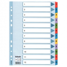 Kartoniniai skiriamieji spalvoti lapai ESSELTE, 1-12, A4