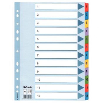 Kartoniniai skiriamieji spalvoti lapai ESSELTE, 1-12, A4